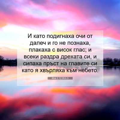 Picture 07 - Йов 2:12 BULG - И като подигнаха очи от - Bible Verse Picture