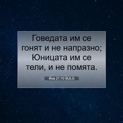 Picture 07 - Йов 21:10 BULG - Говедата им се гонят и не - Bible Verse Picture