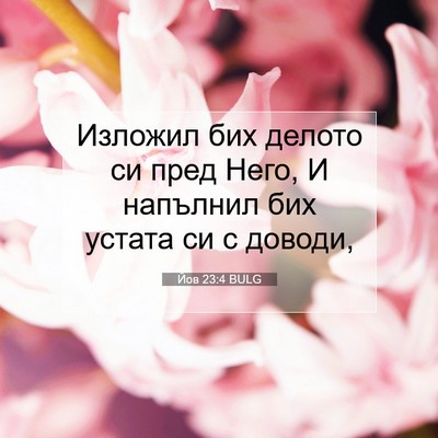 Picture 07 - Йов 23:4 BULG - Изложил бих делото си пред - Bible Verse Picture