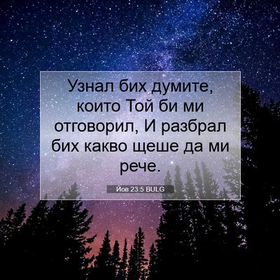 Picture 07 - Йов 23:5 BULG - Узнал бих думите, които Той - Bible Verse Picture