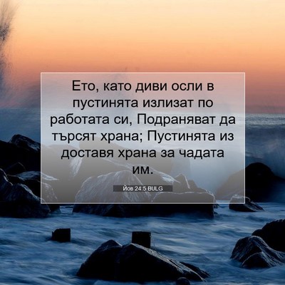 Picture 07 - Йов 24:5 BULG - Ето, като диви осли в - Bible Verse Picture