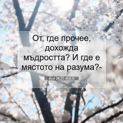 Picture 07 - Йов 28:20 BULG - От, где прочее, дохожда - Bible Verse Picture