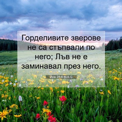 Picture 07 - Йов 28:8 BULG - Горделивите зверове не са - Bible Verse Picture