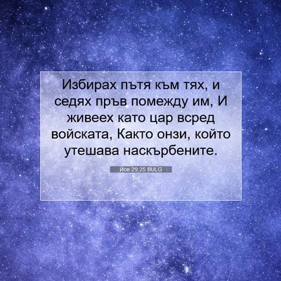 Picture 07 - Йов 29:25 BULG - Избирах пътя към тях, и - Bible Verse Picture