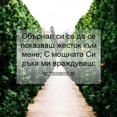 Picture 07 - Йов 30:21 BULG - Обърнал си се да се - Bible Verse Picture