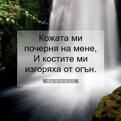 Picture 07 - Йов 30:30 BULG - Кожата ми почерня на мене, - Bible Verse Picture