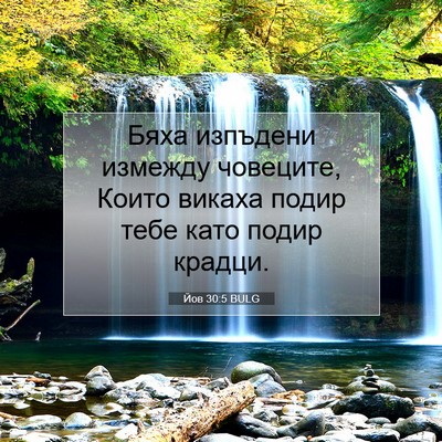 Picture 07 - Йов 30:5 BULG - Бяха изпъдени измежду - Bible Verse Picture