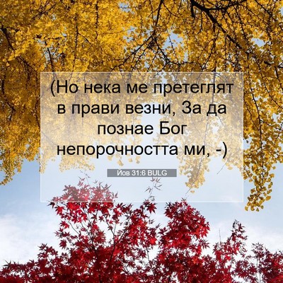 Picture 07 - Йов 31:6 BULG - (Но нека ме претеглят в - Bible Verse Picture