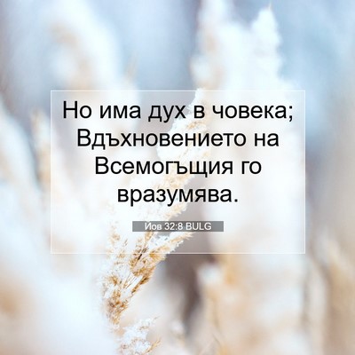 Picture 07 - Йов 32:8 BULG - Но има дух в човека; - Bible Verse Picture