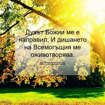 Picture 07 - Йов 33:4 BULG - Духът Божии ме е направил, - Bible Verse Picture