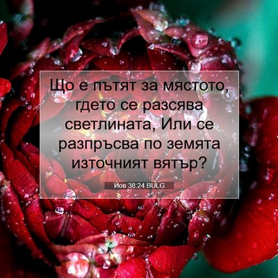 Picture 07 - Йов 38:24 BULG - Що е пътят за мястото, - Bible Verse Picture