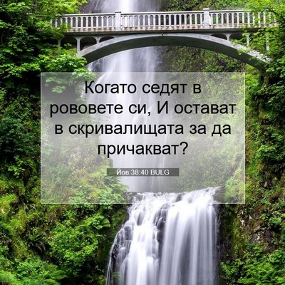 Picture 07 - Йов 38:40 BULG - Когато седят в рововете си, - Bible Verse Picture