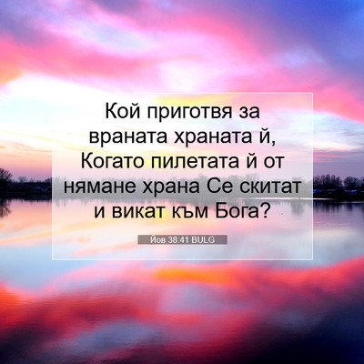 Picture 07 - Йов 38:41 BULG - Кой приготвя за враната - Bible Verse Picture