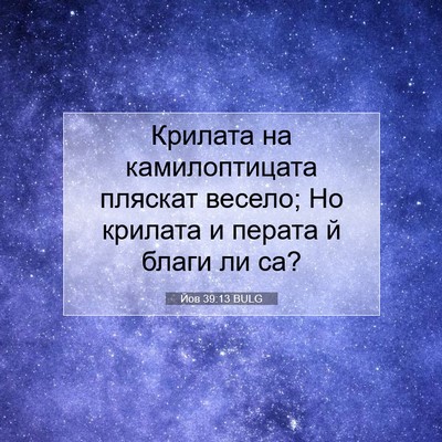 Picture 07 - Йов 39:13 BULG - Крилата на камилоптицата - Bible Verse Picture