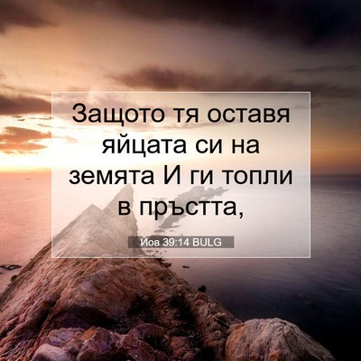 Picture 07 - Йов 39:14 BULG - Защото тя оставя яйцата си - Bible Verse Picture