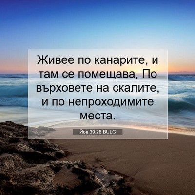 Picture 07 - Йов 39:28 BULG - Живее по канарите, и там се - Bible Verse Picture