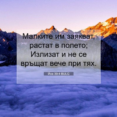 Picture 07 - Йов 39:4 BULG - Малките им заякват, растат - Bible Verse Picture