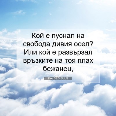Picture 07 - Йов 39:5 BULG - Кой е пуснал на свобода - Bible Verse Picture