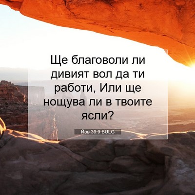 Picture 07 - Йов 39:9 BULG - Ще благоволи ли дивият вол - Bible Verse Picture