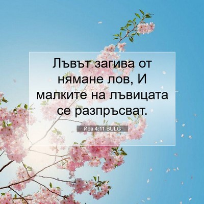 Picture 07 - Йов 4:11 BULG - Лъвът загива от нямане лов, - Bible Verse Picture
