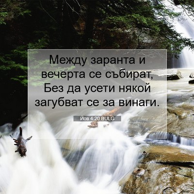 Picture 07 - Йов 4:20 BULG - Между заранта и вечерта се - Bible Verse Picture