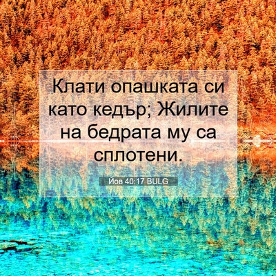 Picture 07 - Йов 40:17 BULG - Клати опашката си като - Bible Verse Picture