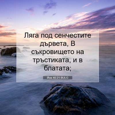 Picture 07 - Йов 40:21 BULG - Ляга под сенчестите - Bible Verse Picture