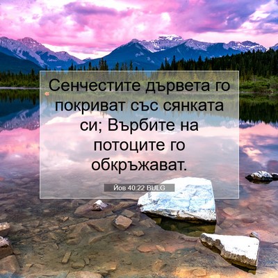 Picture 07 - Йов 40:22 BULG - Сенчестите дървета го - Bible Verse Picture