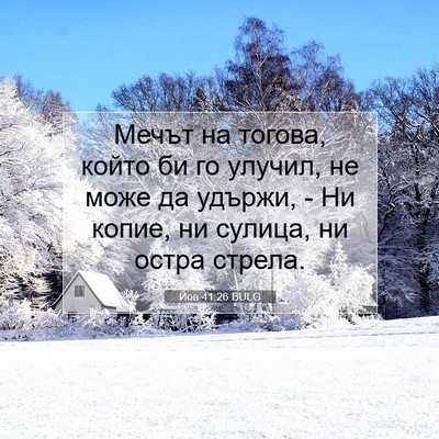 Picture 07 - Йов 41:26 BULG - Мечът на тогова, който би - Bible Verse Picture