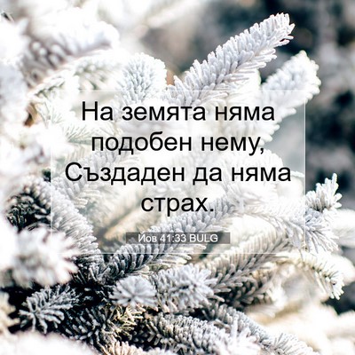 Picture 07 - Йов 41:33 BULG - На земята няма подобен - Bible Verse Picture