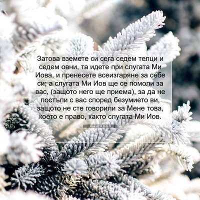 Picture 07 - Йов 42:8 BULG - Затова вземете си сега - Bible Verse Picture