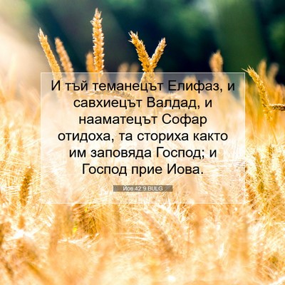 Picture 07 - Йов 42:9 BULG - И тъй теманецът Елифаз, и - Bible Verse Picture
