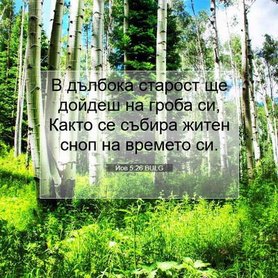 Picture 07 - Йов 5:26 BULG - В дълбока старост ще - Bible Verse Picture