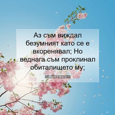 Picture 07 - Йов 5:3 BULG - Аз съм виждал безумният - Bible Verse Picture