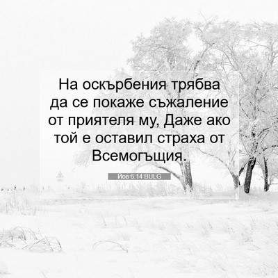 Picture 07 - Йов 6:14 BULG - На оскърбения трябва да се - Bible Verse Picture
