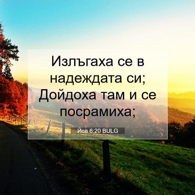 Picture 07 - Йов 6:20 BULG - Излъгаха се в надеждата си; - Bible Verse Picture