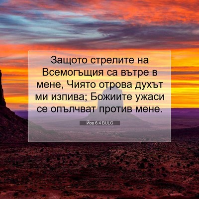 Picture 07 - Йов 6:4 BULG - Защото стрелите на - Bible Verse Picture
