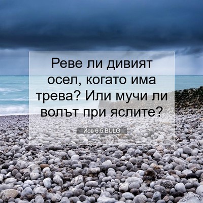 Picture 07 - Йов 6:5 BULG - Реве ли дивият осел, когато - Bible Verse Picture