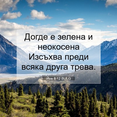 Picture 07 - Йов 8:12 BULG - Догде е зелена и неокосена - Bible Verse Picture