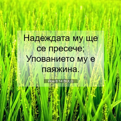 Picture 07 - Йов 8:14 BULG - Надеждата му ще се пресече; - Bible Verse Picture