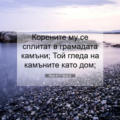 Picture 07 - Йов 8:17 BULG - Корените му се сплитат в - Bible Verse Picture