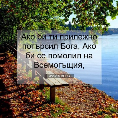 Picture 07 - Йов 8:5 BULG - Ако би ти прилежно - Bible Verse Picture