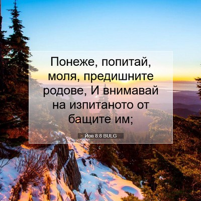 Picture 07 - Йов 8:8 BULG - Понеже, попитай, моля, - Bible Verse Picture