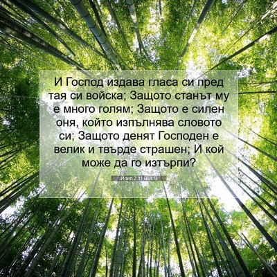 Picture 07 - Йоил 2:11 BULG - И Господ издава гласа си - Bible Verse Picture