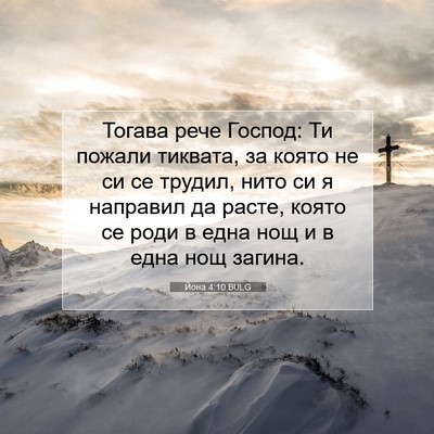 Picture 07 - Йона 4:10 BULG - Тогава рече Господ: Ти - Bible Verse Picture