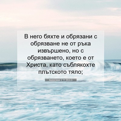 Picture 07 - Колосяни 2:11 BULG - В него бяхте и обрязани с - Bible Verse Picture