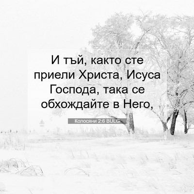 Picture 07 - Колосяни 2:6 BULG - И тъй, както сте приели - Bible Verse Picture