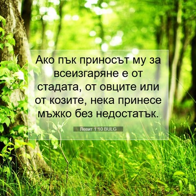 Picture 07 - Левит 1:10 BULG - Ако пък приносът му за - Bible Verse Picture