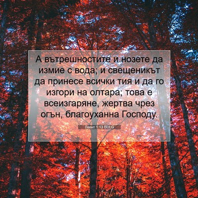 Picture 07 - Левит 1:13 BULG - А вътрешностите и нозете - Bible Verse Picture
