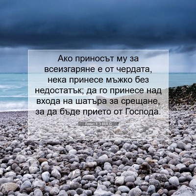 Picture 07 - Левит 1:3 BULG - Ако приносът му за - Bible Verse Picture